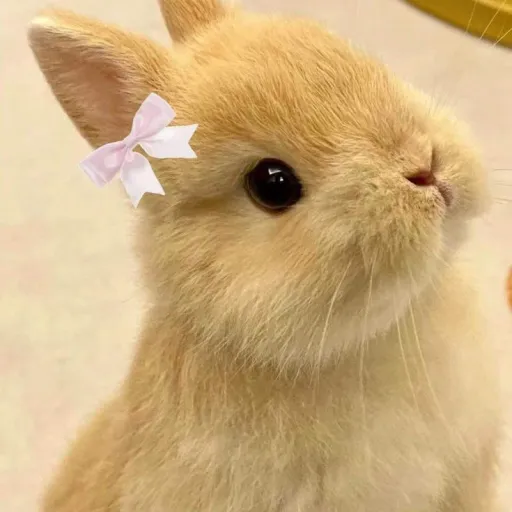 creator eslok's avatar