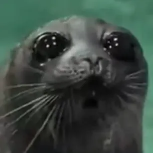 creator Hola niños 😁😁's avatar