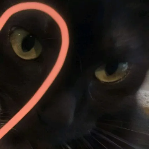 creator 🍥🍪Mundo De B3rry🥡🎂's avatar