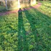 creator Vay Vayfam's avatar