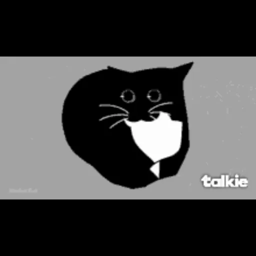 creator coral feliz's avatar