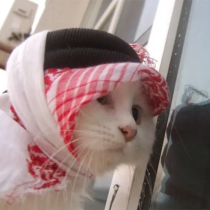 creator فاسد's avatar