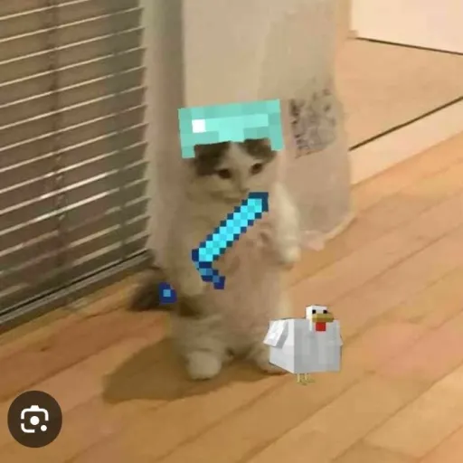 creator bauty-4-7's avatar