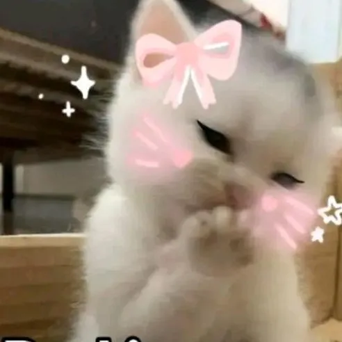 creator Ella angmon's avatar