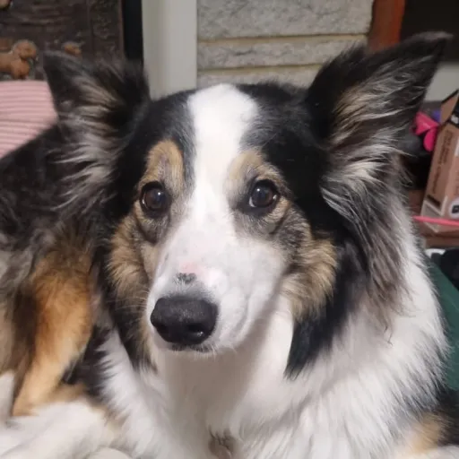 creator 💫☆luna~💫's avatar