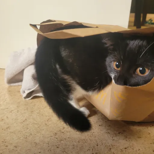 creator 순우의 아내 <3's avatar