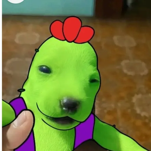 talkie's author avatar