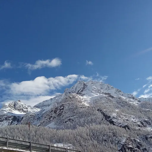 creator nocciolina_forever's avatar