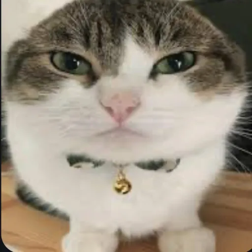 creator WawaCatReal's avatar