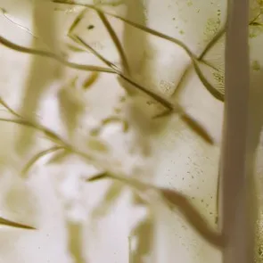 chat with ai character: Five Hargreeves 