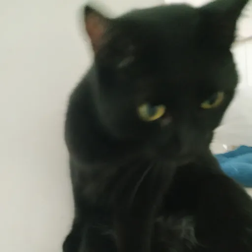 creator я дурачок's avatar