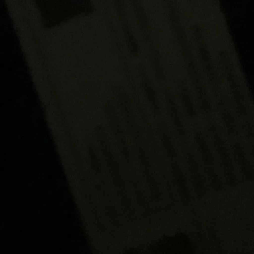 chat with ai character: TWINNING