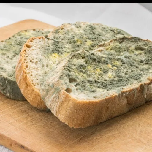 creator 🐙Forgoten🌊's avatar