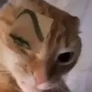 creator Frank_busco novia🤑's avatar