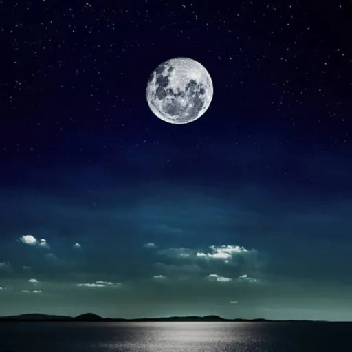 creator *thedarknight*6840's avatar