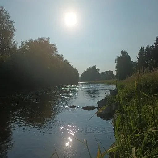 creator Lucia Čechová's avatar