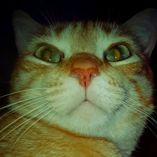 creator crashet's avatar