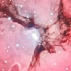 creator Midnightttttttttt's avatar