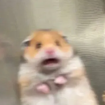 creator Manbra's avatar