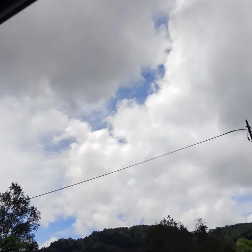 creator ☻︎rose☹︎'s avatar