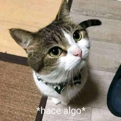 creator GatoQueHaceAlgo's avatar
