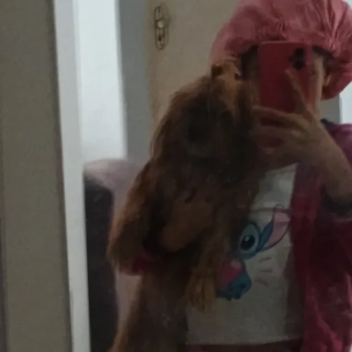 creator milo (apelido!)'s avatar