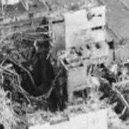 chat with ai character: Мутация