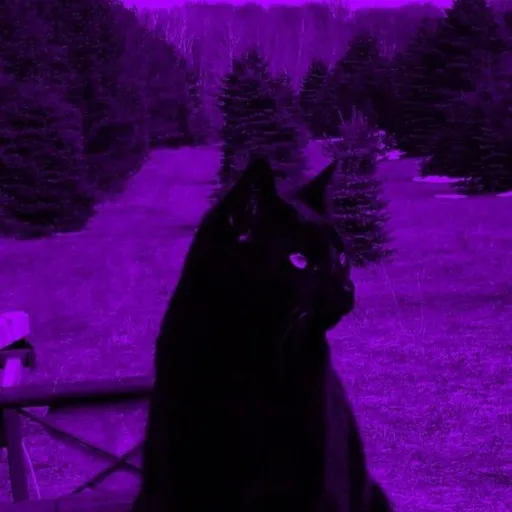 creator •☆~Luna~☆•'s avatar