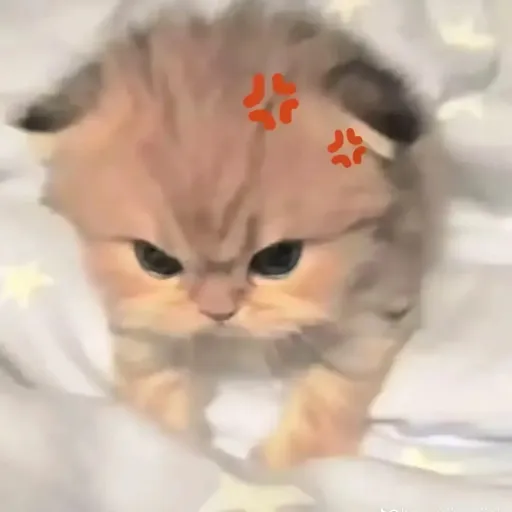 creator Tiffany Zambrano's avatar