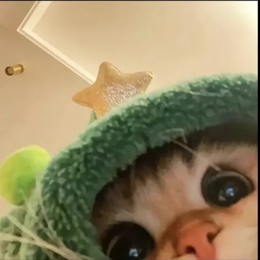 creator Mister_Talkiadot's avatar