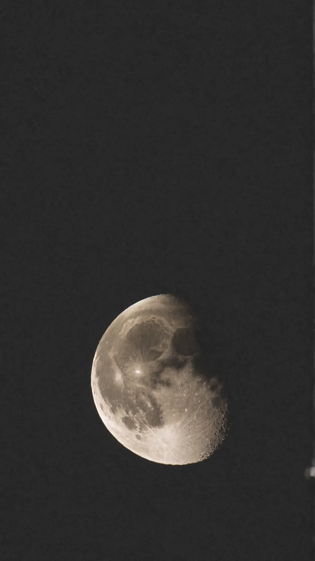 ai character: Please sub background