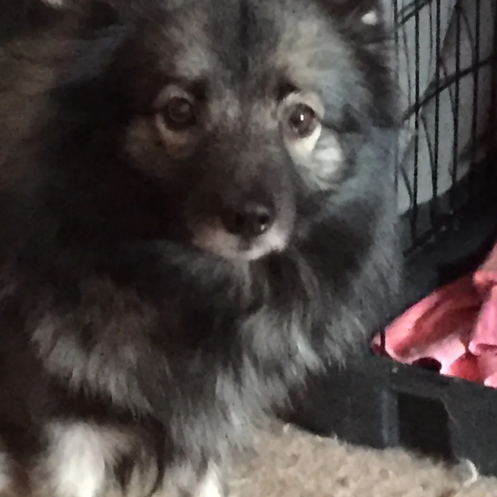 chat with ai character: Halia 😔 