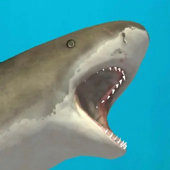 creator megalodon Talkie's avatar