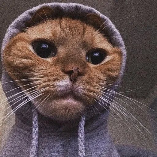 creator Bencraftsuar's avatar