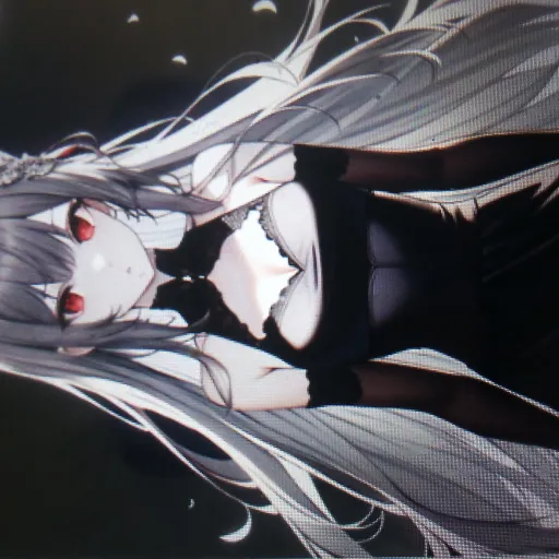 creator julene's avatar