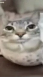 ai character: tralaliro tralala background