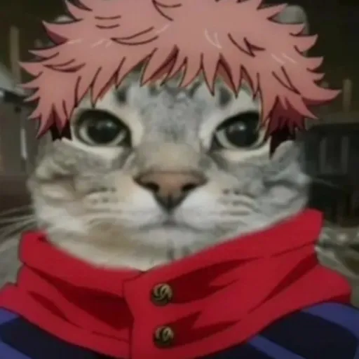 creator itadori gaton:v's avatar