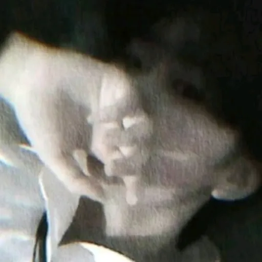 creator ✘Marco✘'s avatar