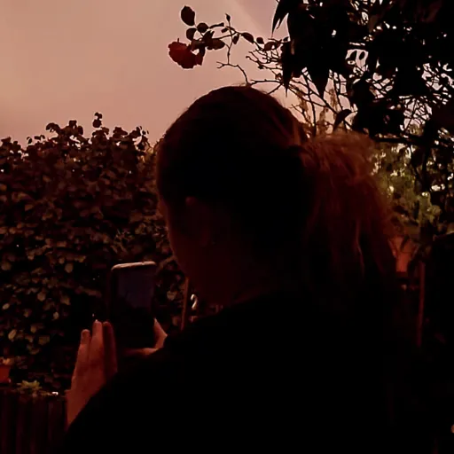 creator ymi.yr's avatar