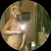 talkie's author avatar