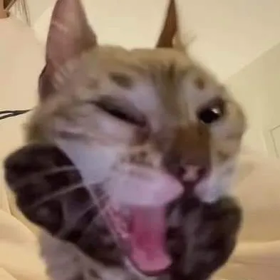 creator ♡💤🤧☆[nora]☆🤧💤♡'s avatar