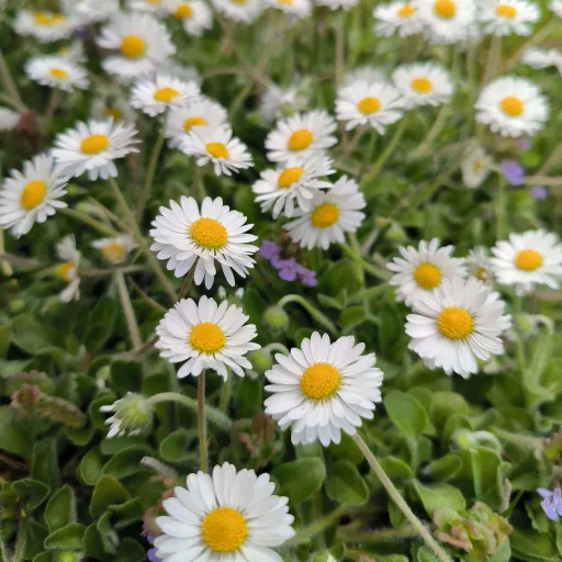 creator Ewa_GR's avatar