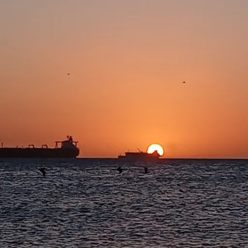 creator Leonisa🦋's avatar