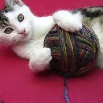 chat with ai character: milo gi and harry