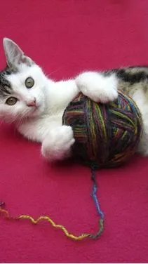 ai character: milo gi and harry background