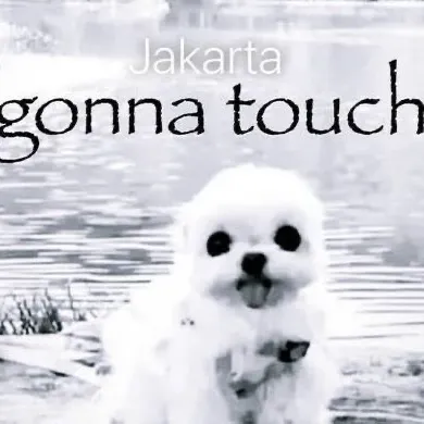 creator BiggieNumber_1's avatar