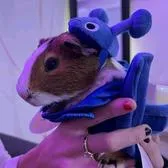 talkie's author avatar