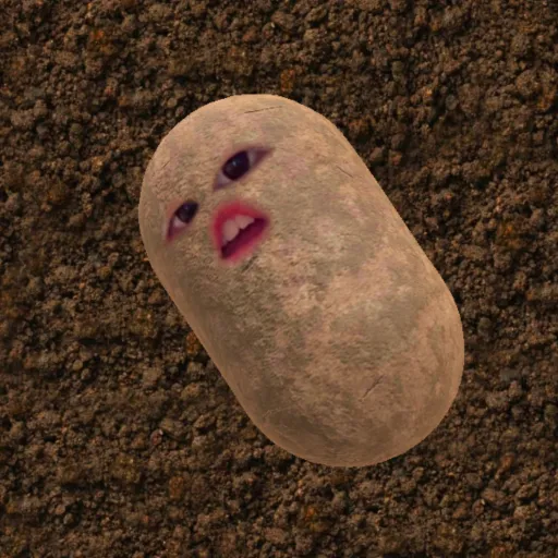 creator The ✨TAteR✨'s avatar