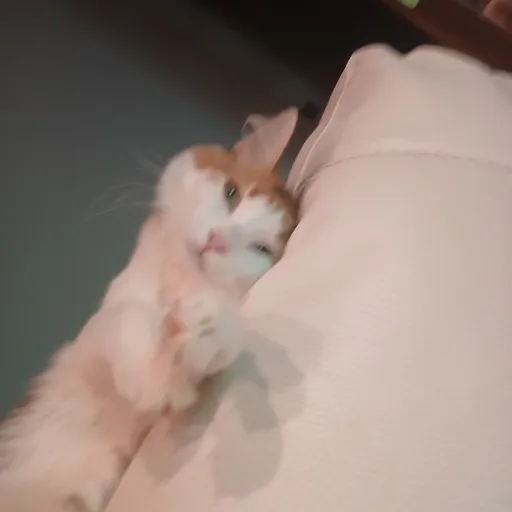 creator Klubays's avatar