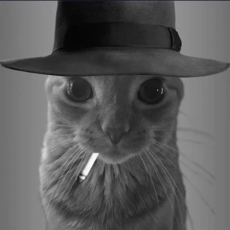 creator 🚬🍷--Gato sigma--🍷🚬's avatar